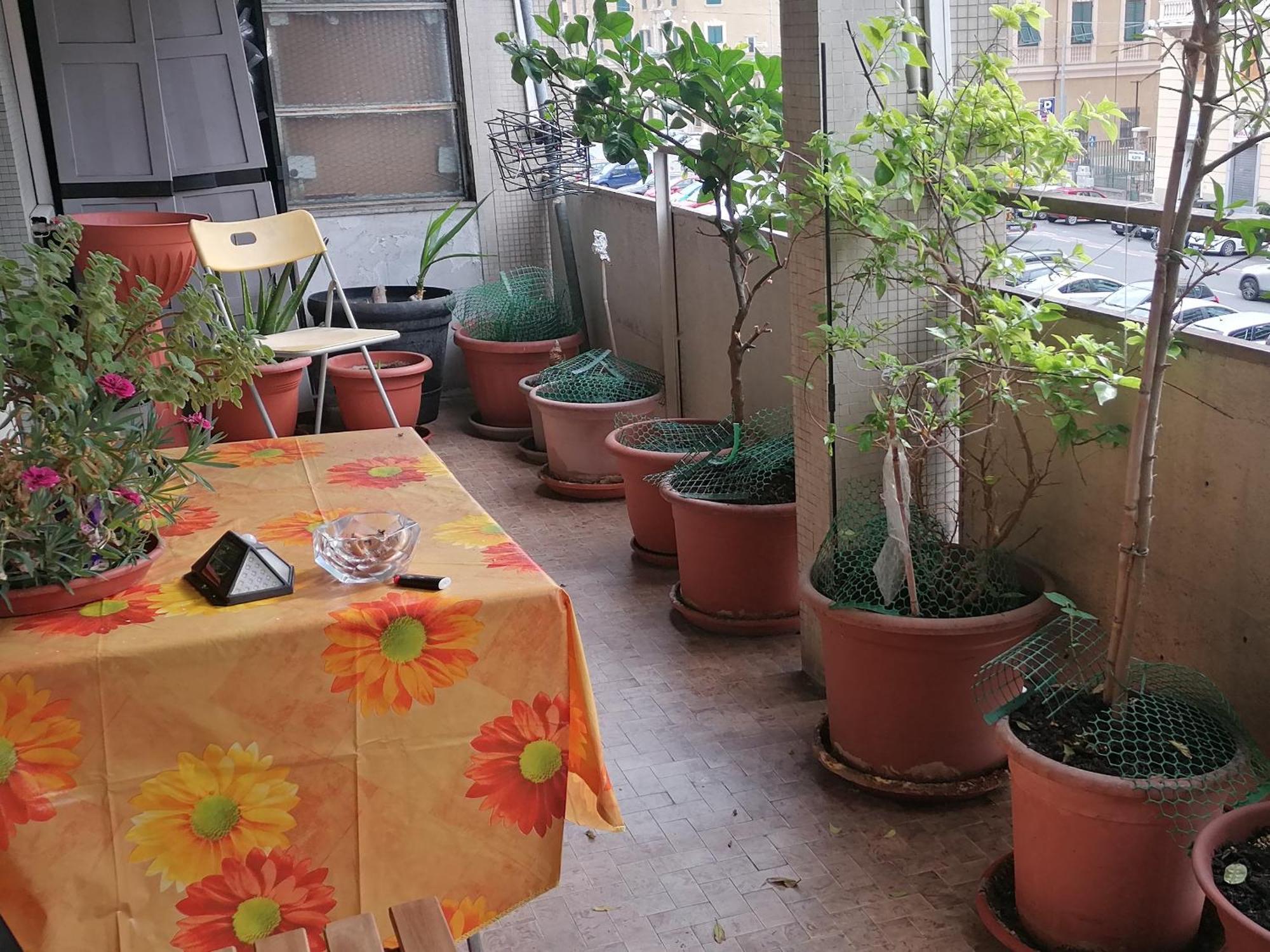 Bed and Breakfast Celine Genua Exterior foto